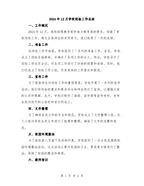 2024年12月学校迎检工作总结