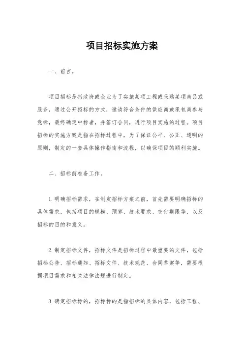 项目招标实施方案