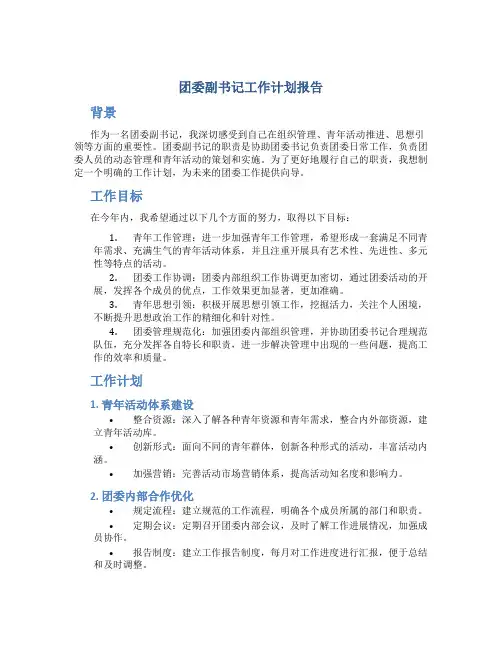 团委副书记工作计划报告