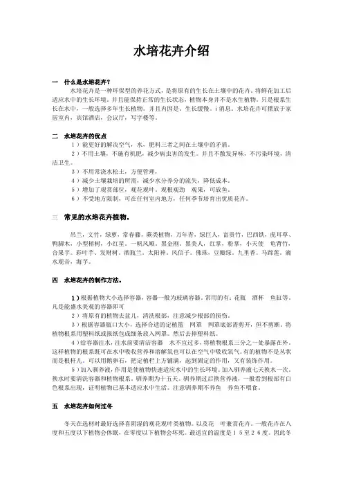 水培花卉介绍