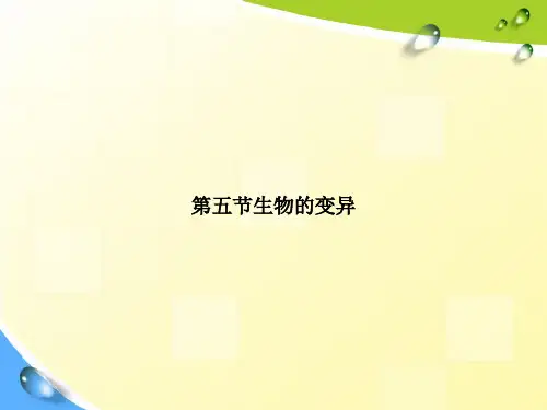第五节生物的变异讲课文档