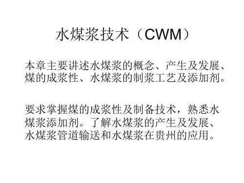 水煤浆技术(CWM)