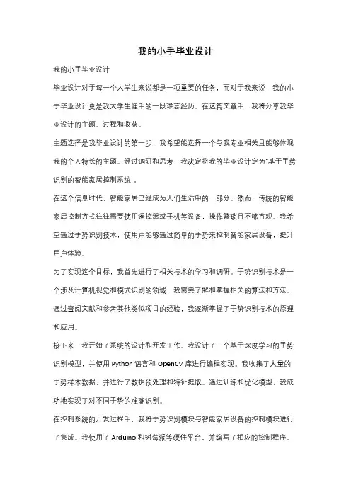 我的小手毕业设计