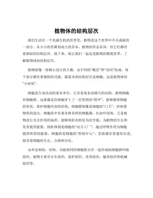 植物体的结构层次