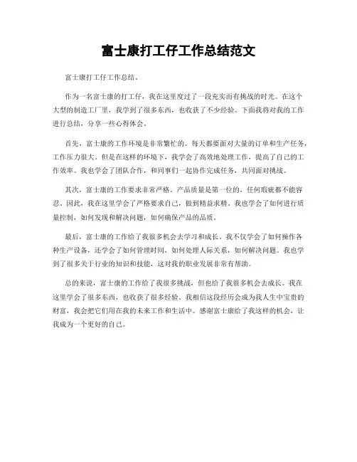 富士康打工仔工作总结范文