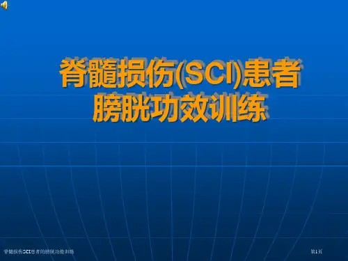 脊髓损伤SCI患者的膀胱功能训练专家讲座