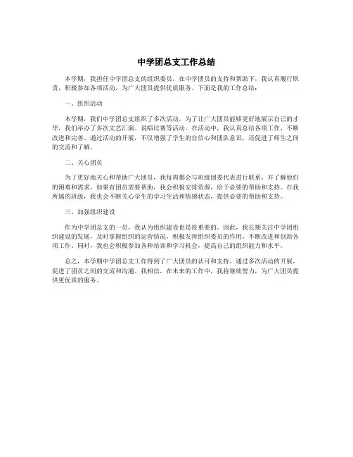 中学团总支工作总结