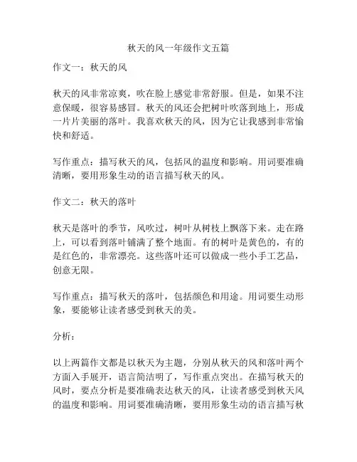 秋天的风一年级作文五篇