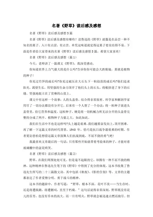 名著《野草》读后感及感想