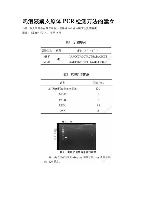 鸡滑液囊支原体PCR检测方法的建立