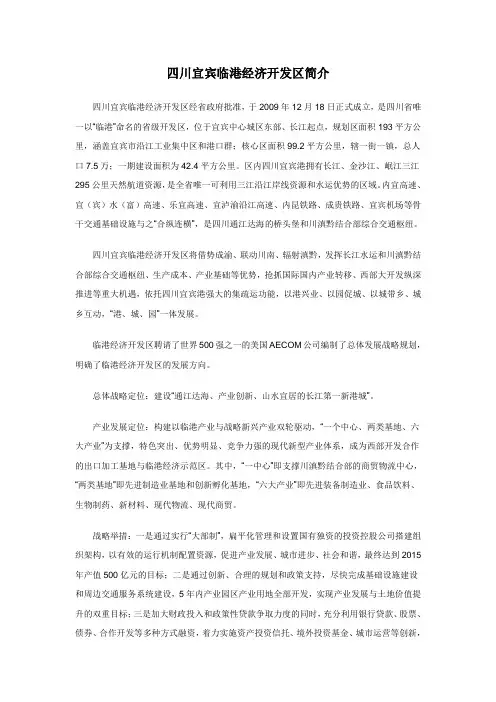 四川省宜宾市临港经济开发区简介