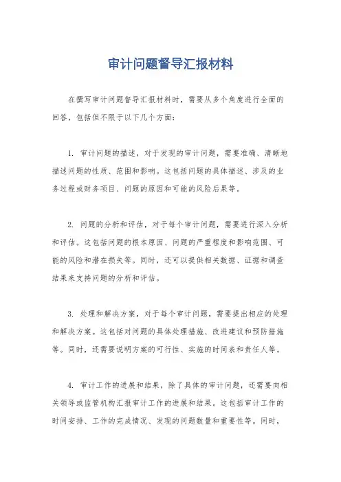 审计问题督导汇报材料
