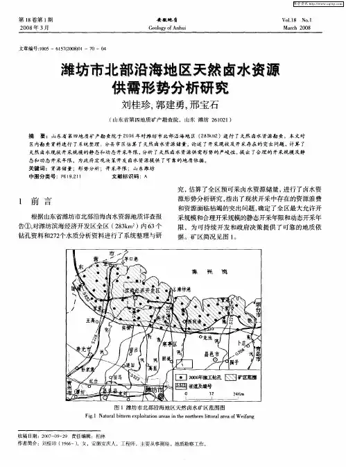 潍坊市北部沿海地区天然卤水资源供需形势分析研究