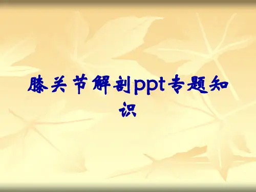膝关节解剖ppt专题知识