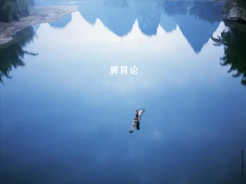 中医藏象脾胃论