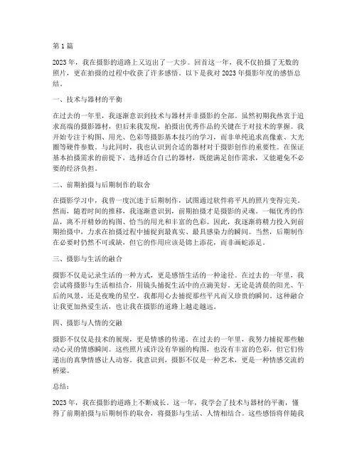 摄影年度感悟总结报告(3篇)