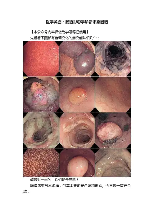 医学美图：肠道形态学诊断思路图谱