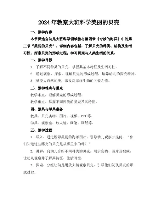 2024年教案大班科学美丽的贝壳