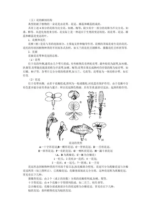花的结构和解剖