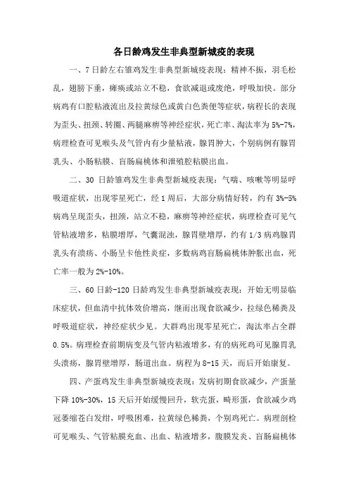 各日龄鸡发生非典型新城疫的表现
