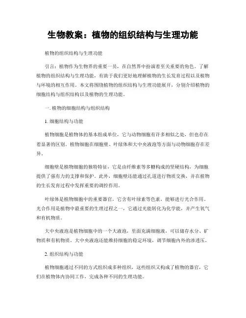 生物教案：植物的组织结构与生理功能