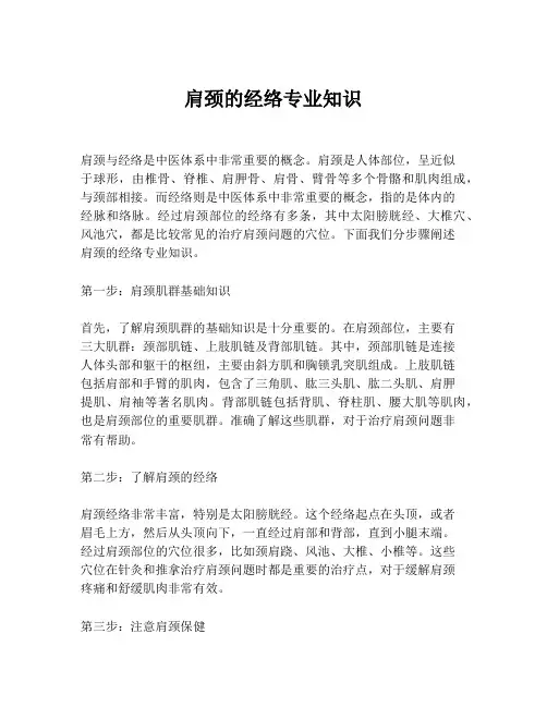 肩颈的经络专业知识