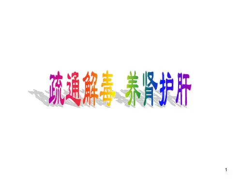 肾部保养ppt课件