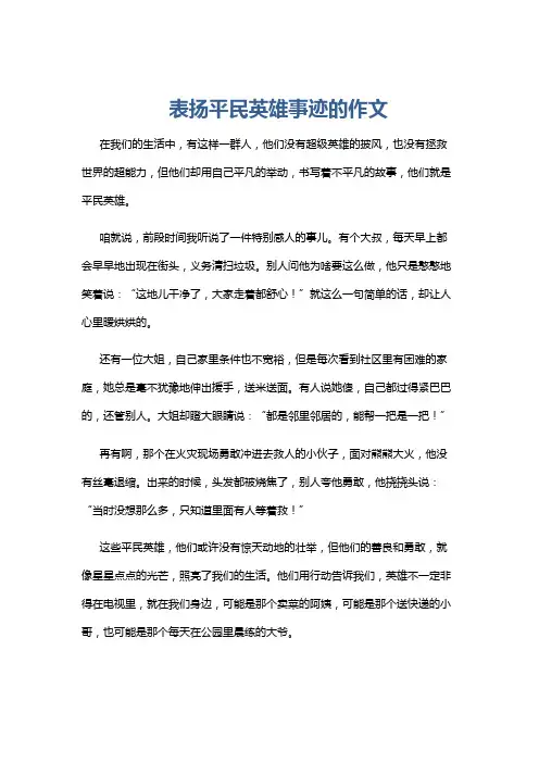 表扬平民英雄事迹的作文