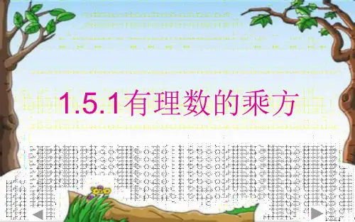 有理数的乘方 优秀课件