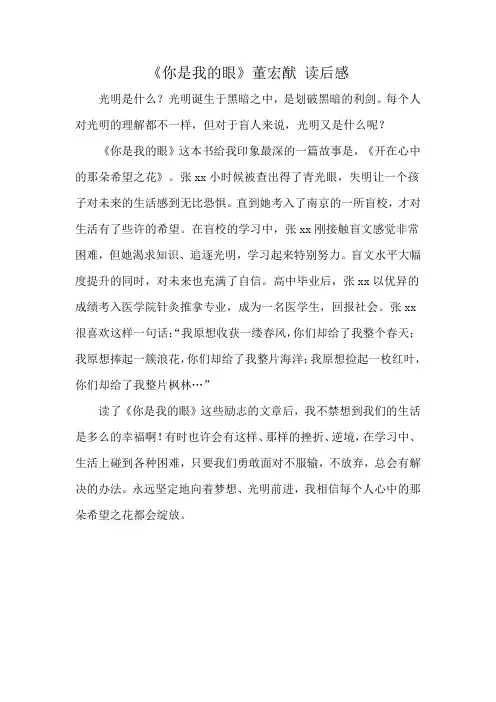 《你是我的眼》董宏猷 读后感