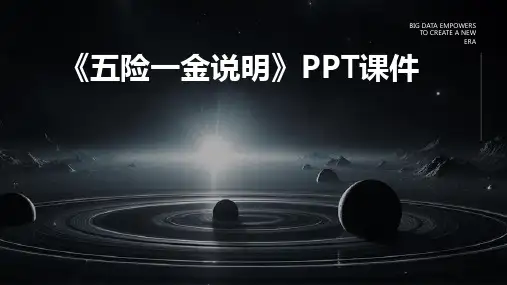《险一金说明》课件