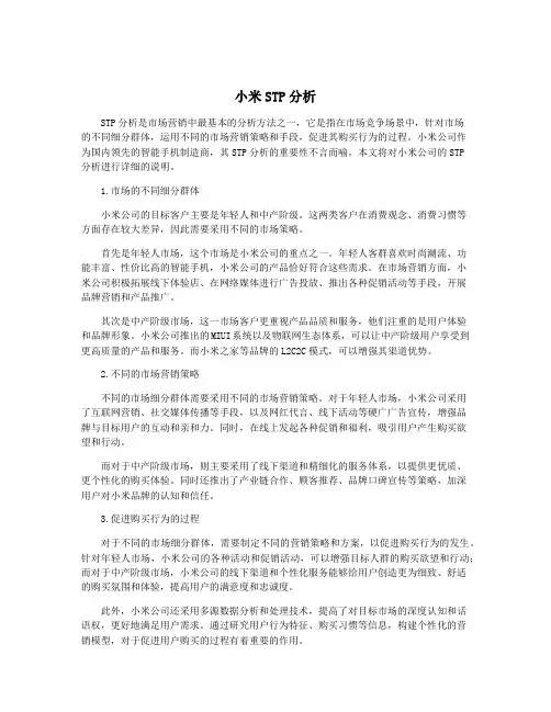 小米STP分析