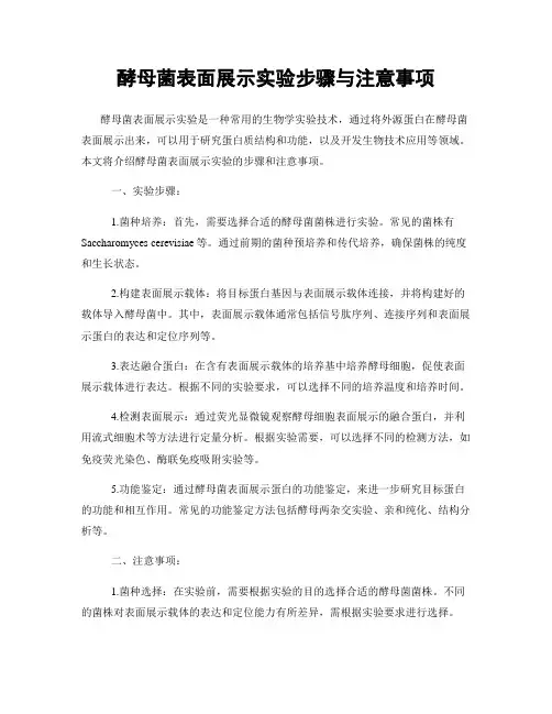 酵母菌表面展示实验步骤与注意事项