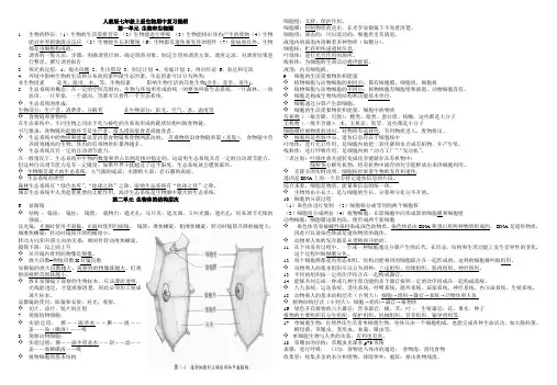 七年级上册生物期中复习提纲