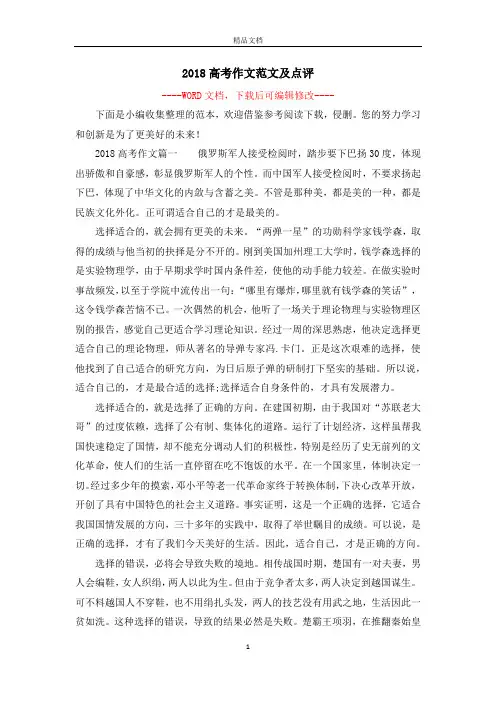 2018高考作文范文及点评