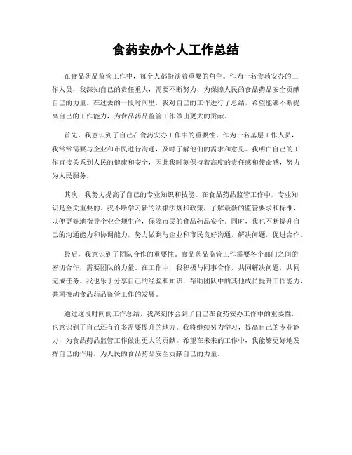 食药安办个人工作总结