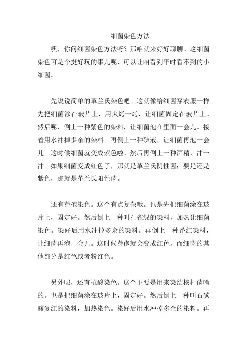 细菌染色方法