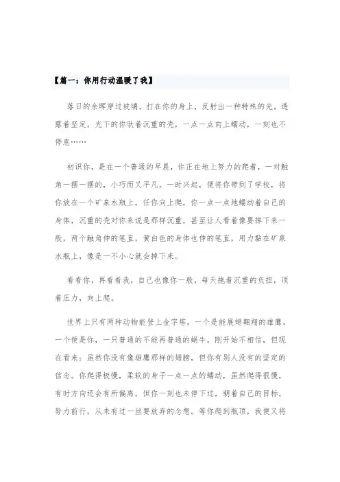 你用行动温暖了我作文600字作文运动类