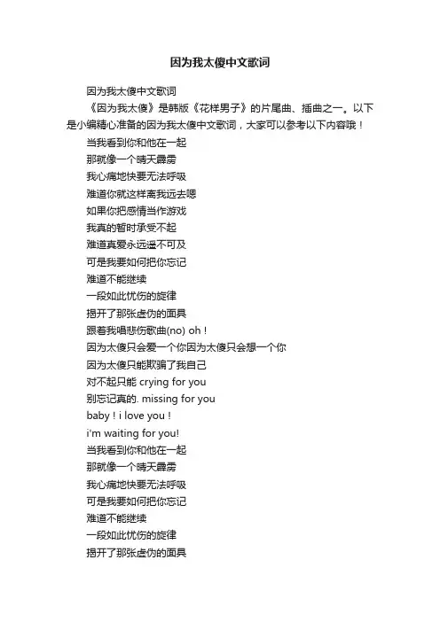因为我太傻中文歌词