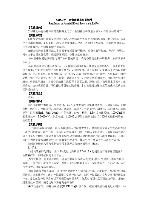 生理学实验    家兔动脉血压的调节