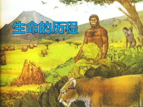 湘教版科学六下1.1《生命的历程》ppt-课件