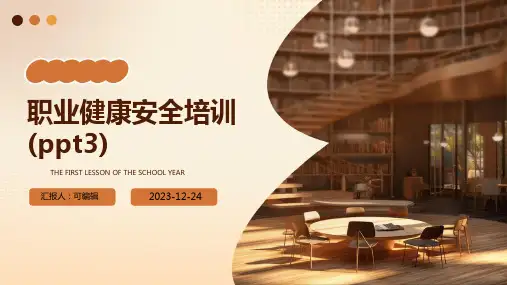 职业健康安全培训(PPT3)