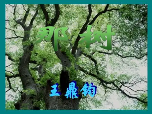 8.【精品课件】第10课  那树