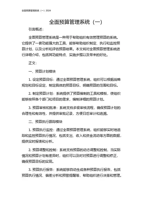 全面预算管理系统(一)2024