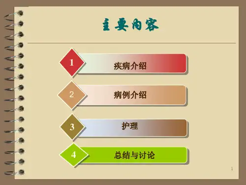 糖尿病个案ppt课件
