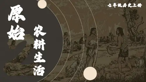 部编七年级历史上册第2课 原始农耕生活
