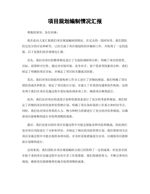项目规划编制情况汇报