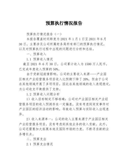预算执行情况报告3篇