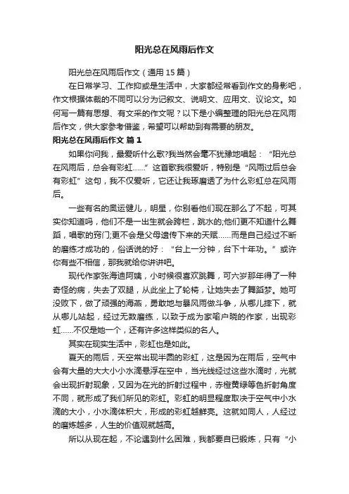 阳光总在风雨后作文