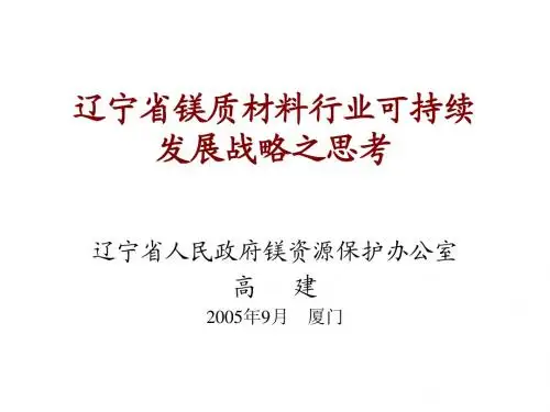 高健镁质材料发展战略思考